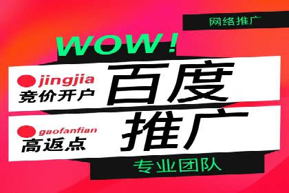 竞价推广公司的策略布局：某行业领导品牌的成功案例